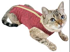 RPC GATO ROSA 0