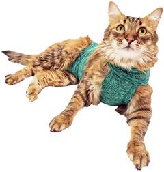 RPC GATO VERDE 2