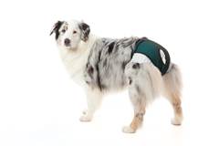 PROTETOR HIG. FRALDAS&CIO VERDE 6