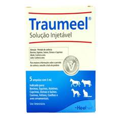 TRAUMEEL INJETAVEL 5ML